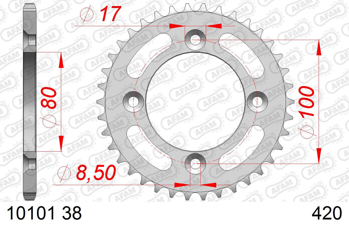 AFAM Tagumine hammasratas 10101-38, 38z, samm 420, teras