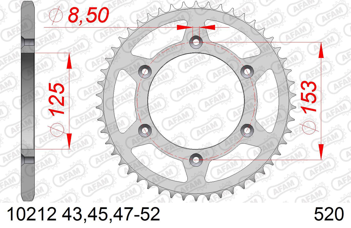 AFAM Tagumine hammasratas 10212-45, 45z, samm 520, teras