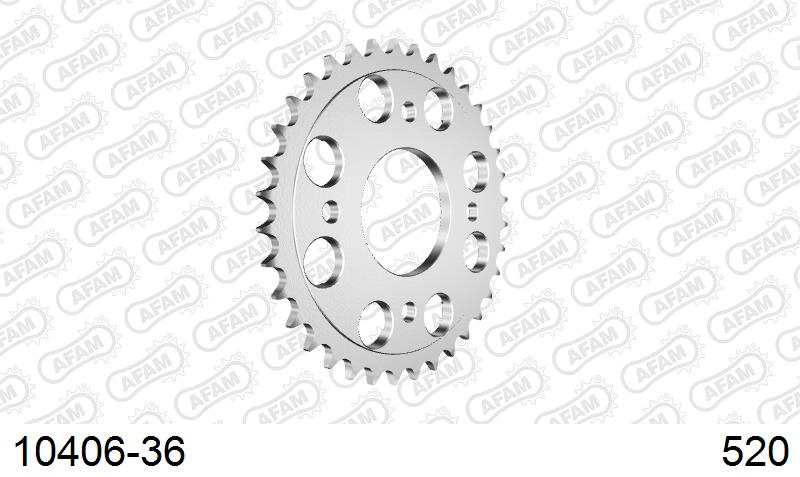 AFAM Tagumine hammasratas 10406-36, 36z, samm 520, teras