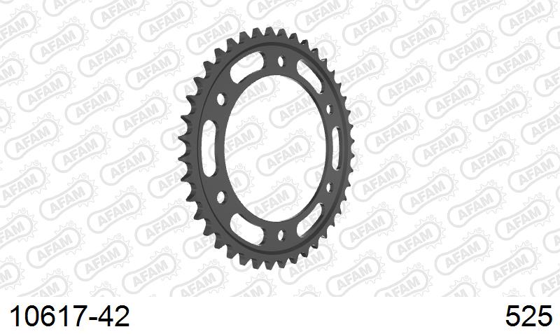 AFAM Tagumine hammasratas 10617-42, 42z, samm 525, teras