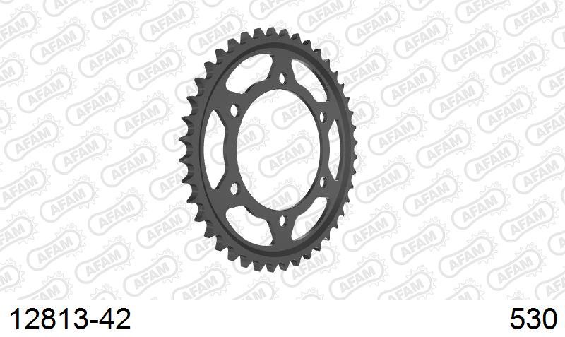 AFAM Tagumine hammasratas 12813-42, 42z, samm 530, teras