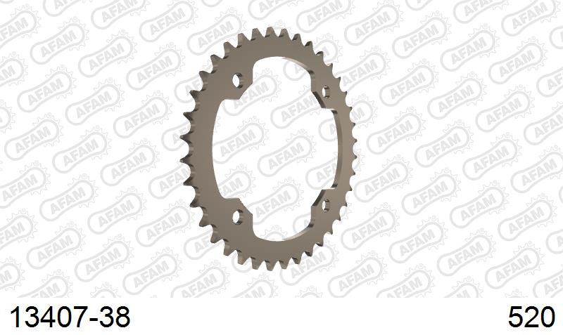 AFAM Tagumine hammasratas 13407-38, 38z, samm 520