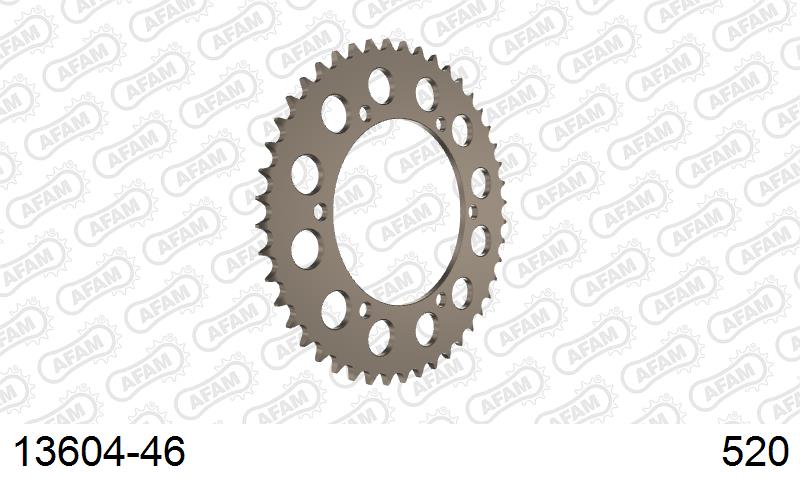 AFAM Tagumine hammasratas 13604-46, 46z, samm 520