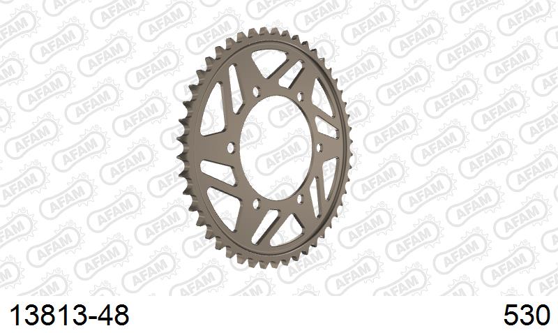 AFAM Tagumine hammasratas 13813-48, 48z, samm 530