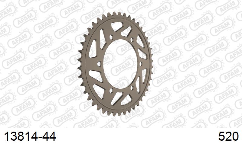 AFAM Tagumine hammasratas 13814-44, 44z, samm 520