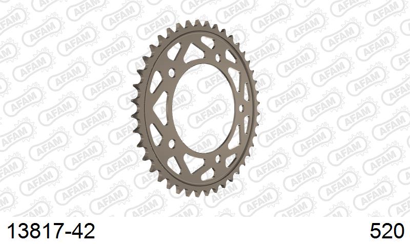 AFAM Tagumine hammasratas 13817-42, 42z, samm 520