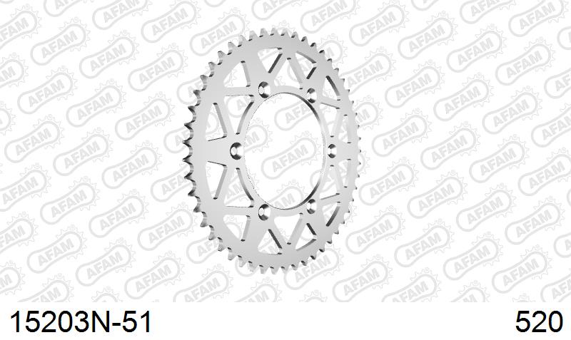 AFAM Tagumine hammasratas 15203N-51, 51z, samm 520