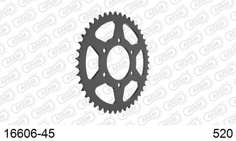 AFAM Tagumine hammasratas 16606-45, 45z, samm 520, teras
