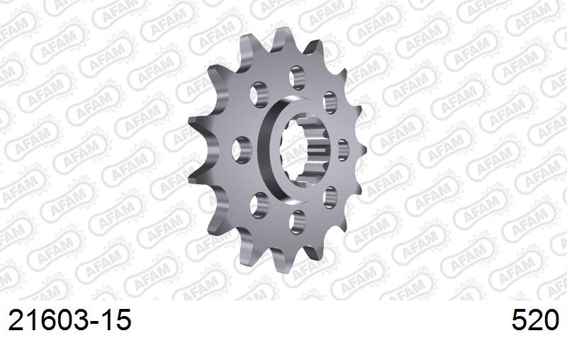 AFAM Eesmine hammasratas 21603-15, 15z, samm 520, teras