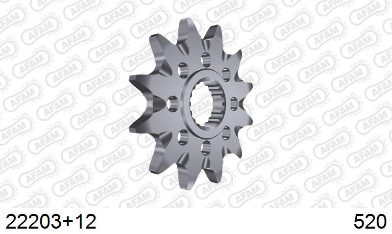 AFAM Eesmine hammasratas 22203+12, 12z, samm 520, teras