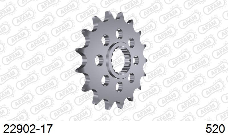 AFAM Eesmine hammasratas 22902-17, 17z, samm 520, teras