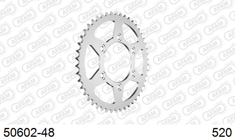 AFAM Tagumine hammasratas 50602-48, 48z, samm 520, teras