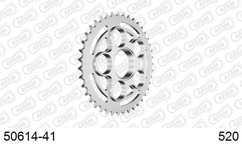 AFAM Tagumine hammasratas 50614-41, 41z, samm 520, teras