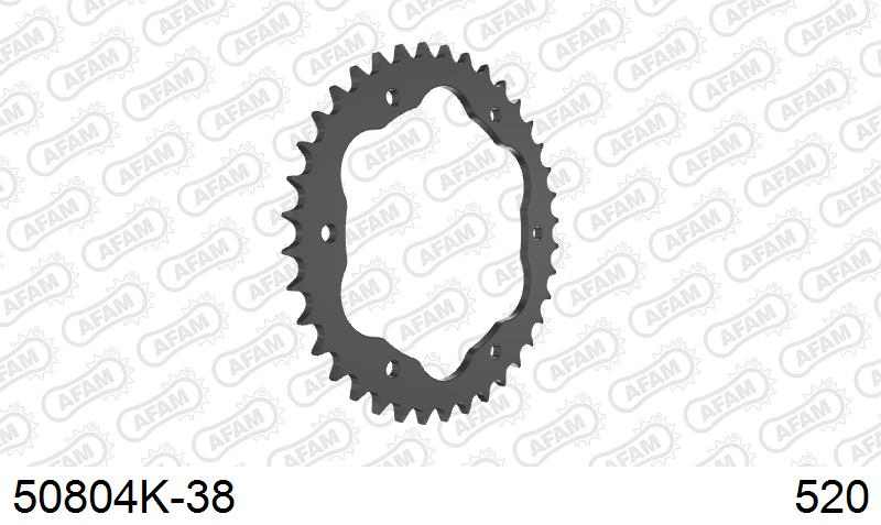 AFAM Tagumine hammasratas 50804K-38, 38z, samm 520, teras