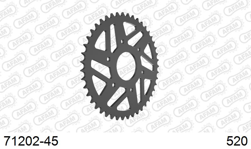 AFAM Tagumine hammasratas 71202-45, 45z, samm 520, teras