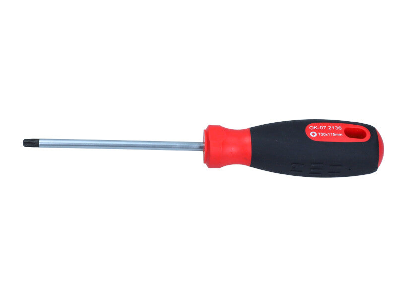 ROOKS Kruvikeeraja TORX SECURITY TS30 x 100 mm