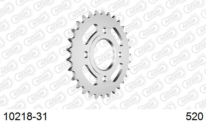 AFAM Tagumine hammasratas 10218-31, 31z, samm 520, teras