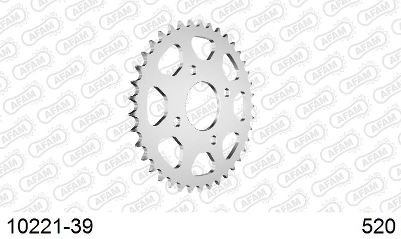 AFAM Tagumine hammasratas 10221-39, 39z, samm 520, teras
