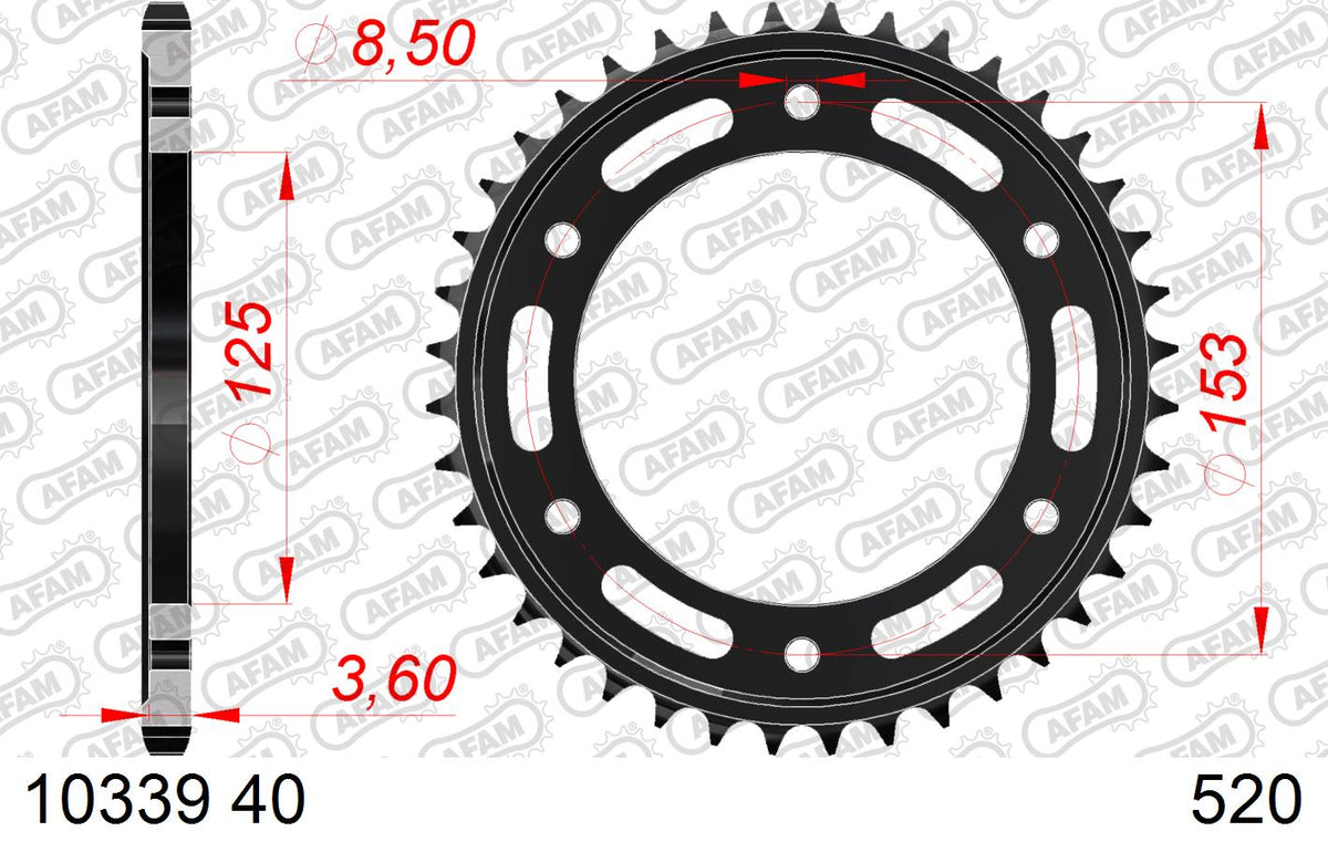 AFAM Tagumine hammasratas 10339-40, 40z, samm 520, teras