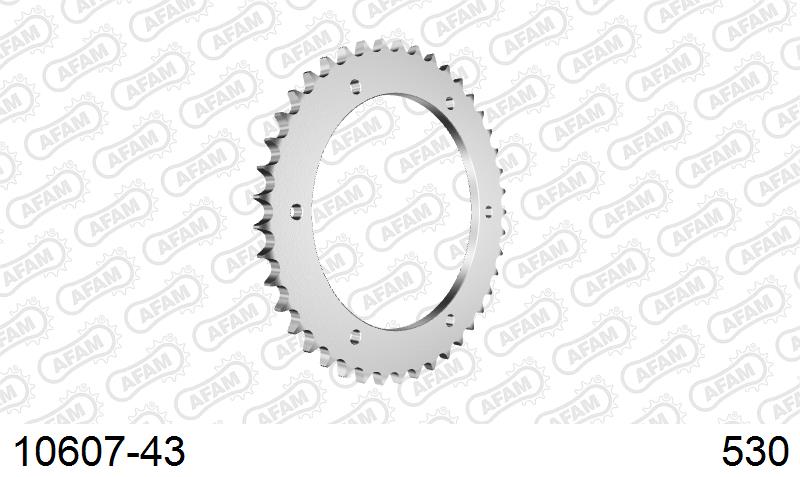 AFAM Tagumine hammasratas 10607-43, 43z, samm 530, teras