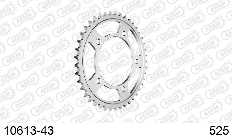 AFAM Tagumine hammasratas 10613-43, 43z, samm 525, teras