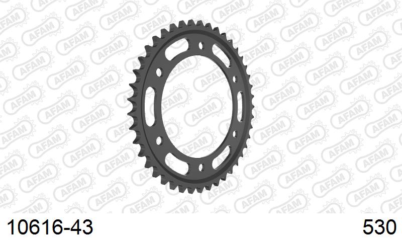 AFAM Tagumine hammasratas 10616-43, 43z, samm 530, teras