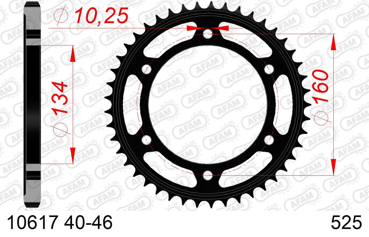 AFAM Tagumine hammasratas 10617-40, 40z, samm 525, teras