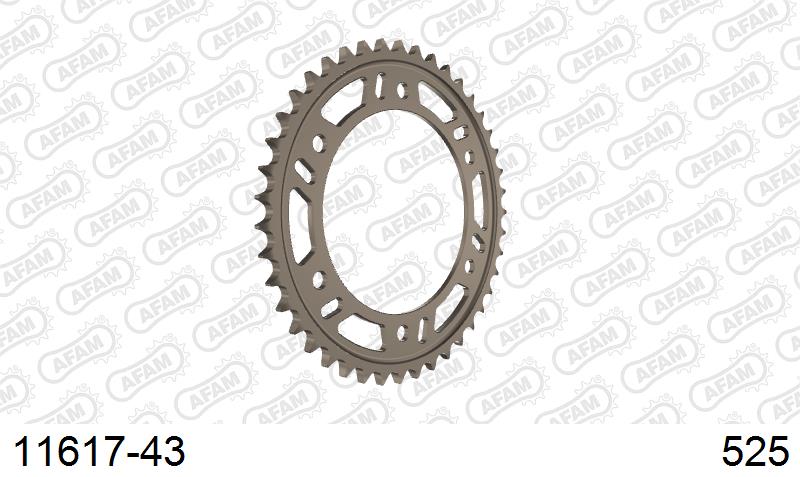 AFAM Tagumine hammasratas 11617-43, 43z, samm 525