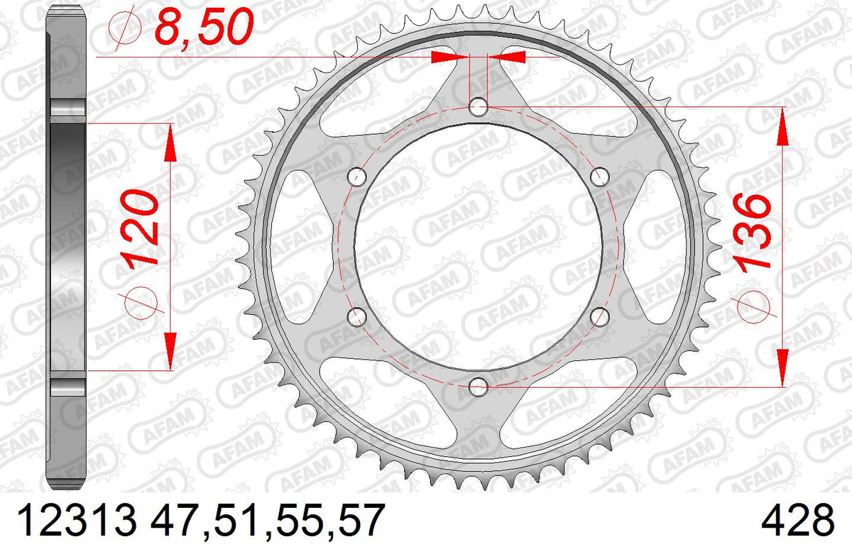 AFAM Tagumine hammasratas 12313-57, 57z, samm 428, teras