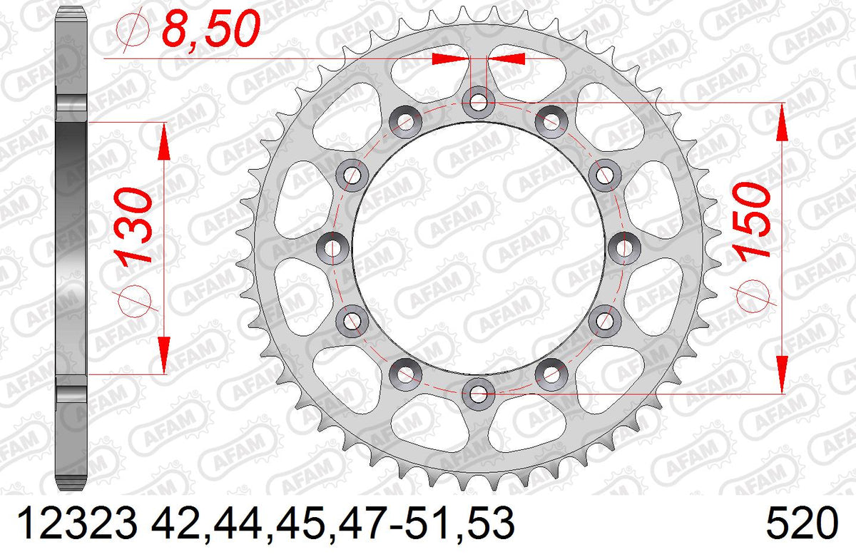 AFAM Tagumine hammasratas 12323-41, 41z, samm 520, teras