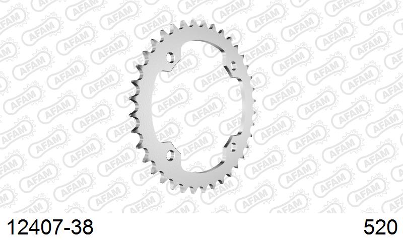 AFAM Tagumine hammasratas 12407-38, 38z, samm 520, teras
