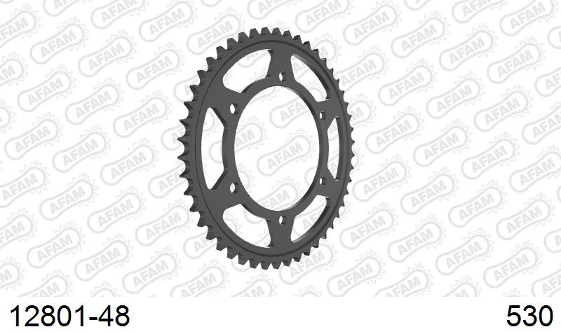 AFAM Tagumine hammasratas 12801-48, 48z, samm 530, teras