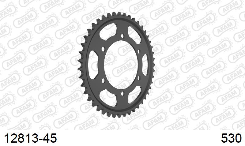 AFAM Tagumine hammasratas 12813-45, 45z, samm 530, teras