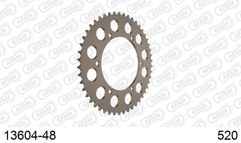 AFAM Tagumine hammasratas 13604-48, 48z, samm 520