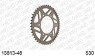 AFAM Tagumine hammasratas 13813-48, 48z, samm 530
