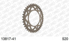 AFAM Tagumine hammasratas 13817-41, 41z, samm 520