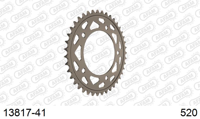 AFAM Tagumine hammasratas 13817-41, 41z, samm 520