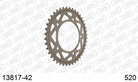 AFAM Tagumine hammasratas 13817-42, 42z, samm 520