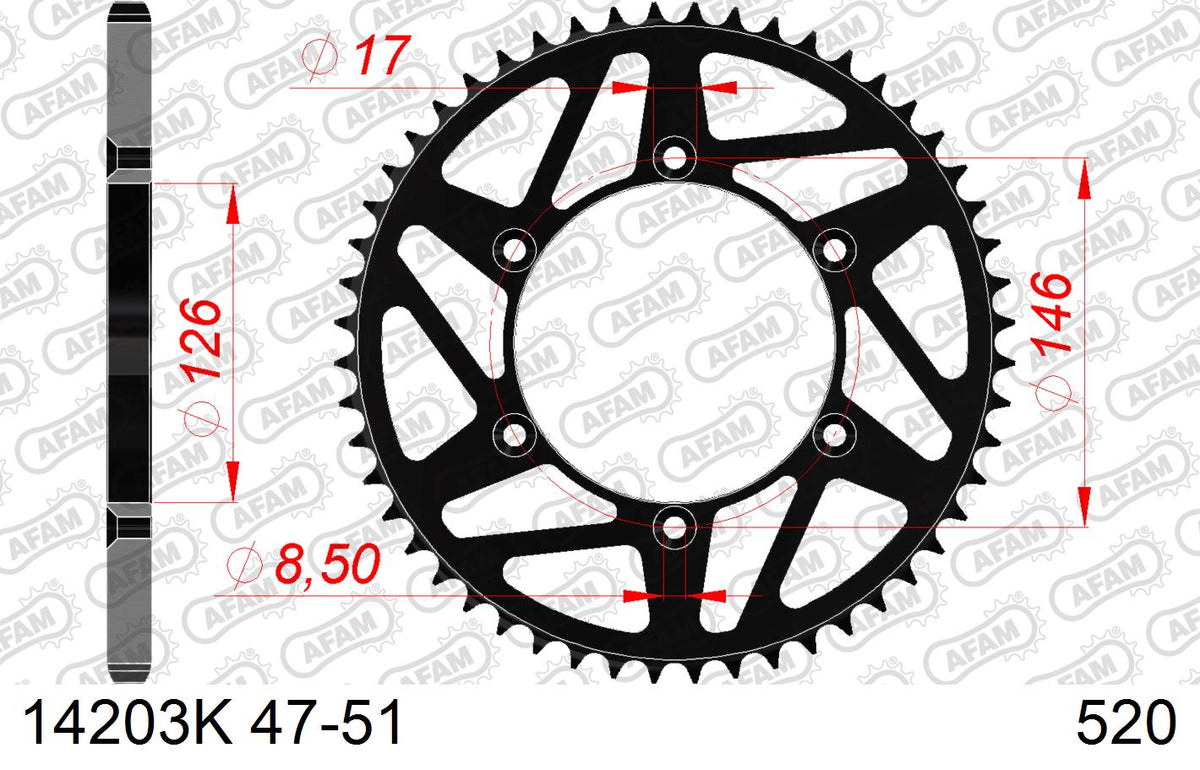 AFAM Tagumine hammasratas 14203K-48, 48z, samm 520, teras