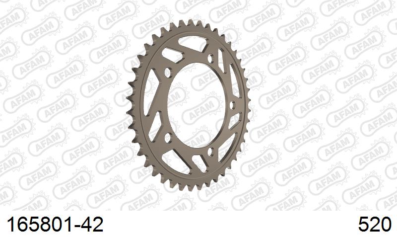 AFAM Tagumine hammasratas 165801-42, 42z, samm 520