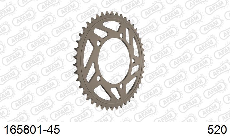 AFAM Tagumine hammasratas 165801-45, 45z, samm 520