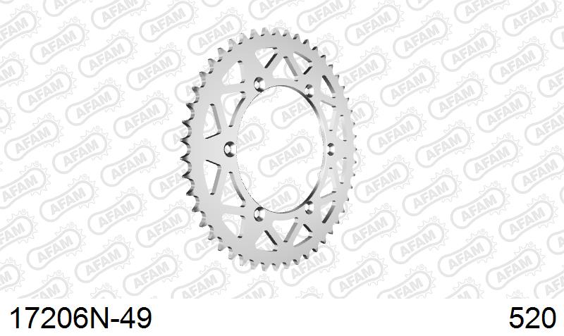 AFAM Tagumine hammasratas 17206N-49, 49z, samm 520