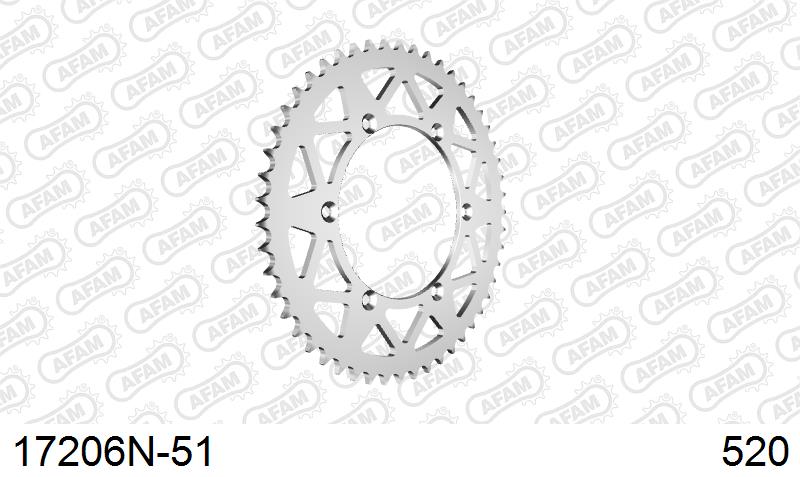 AFAM Tagumine hammasratas 17206N-51, 51z, samm 520