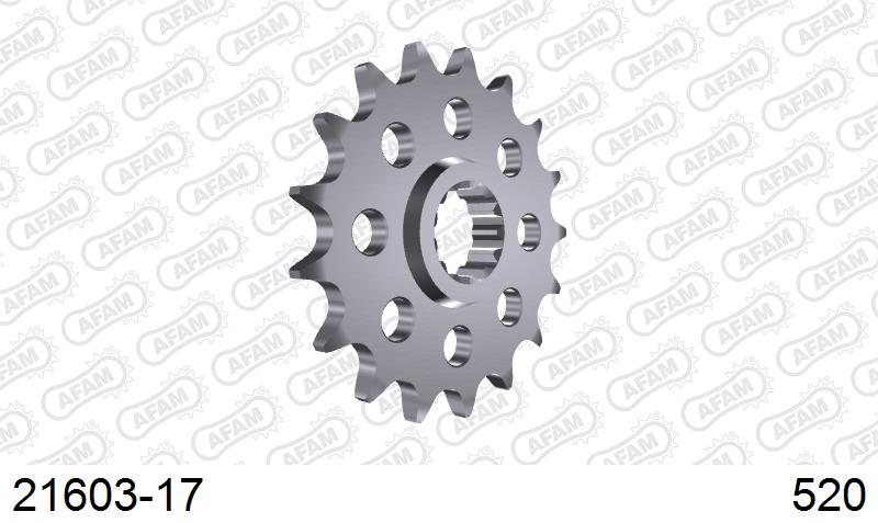 AFAM Eesmine hammasratas 21603-17, 17z, samm 520, teras