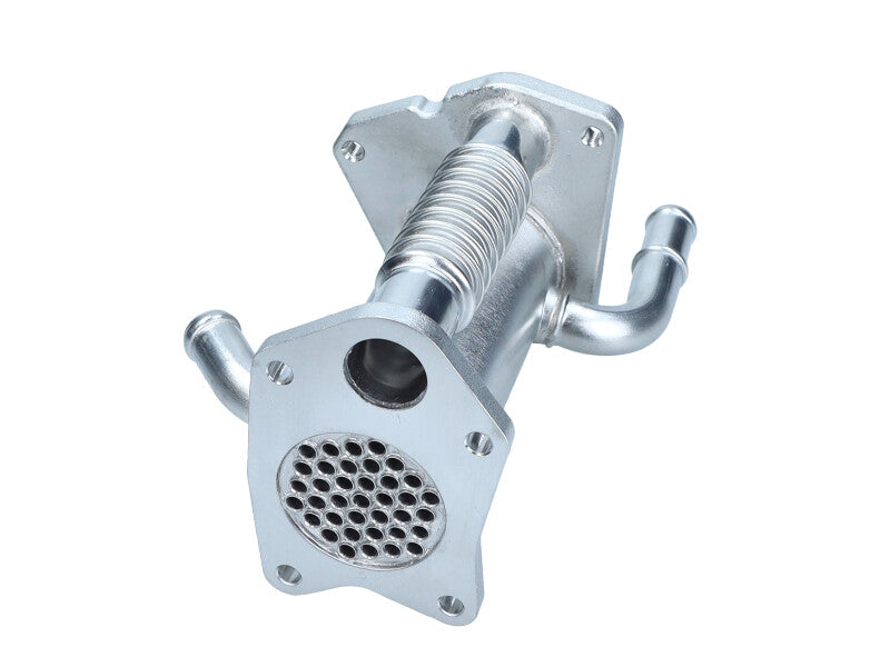 Maxgear EGR-klapi jahuti, RENAULT MEGANE 1.5DCI 08-15