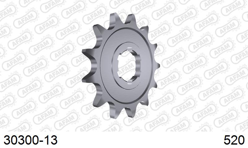 AFAM Eesmine hammasratas 30300-13, 13z, samm 520, teras