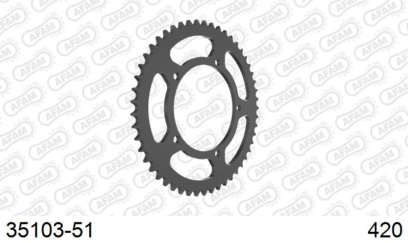 AFAM Tagumine hammasratas 35103-51, 51z, samm 420, teras