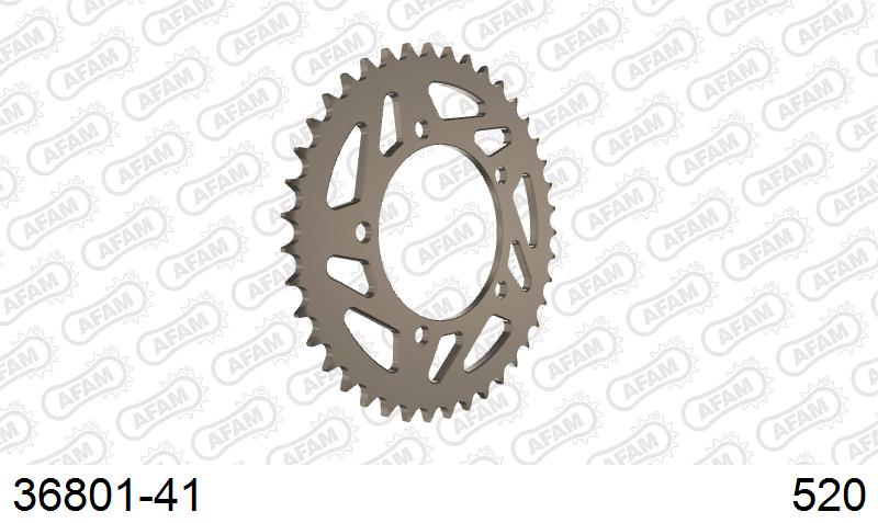 AFAM Tagumine hammasratas 36801-41, 41z, samm 520