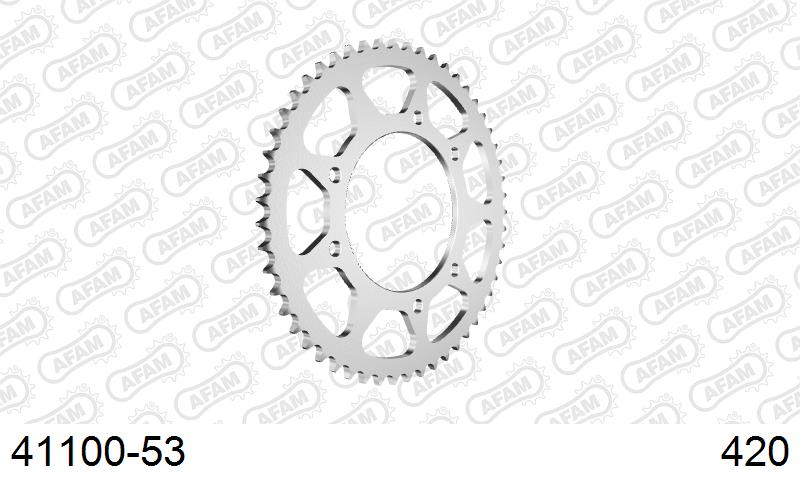 AFAM Tagumine hammasratas 41100-53, 53z, samm 420, teras