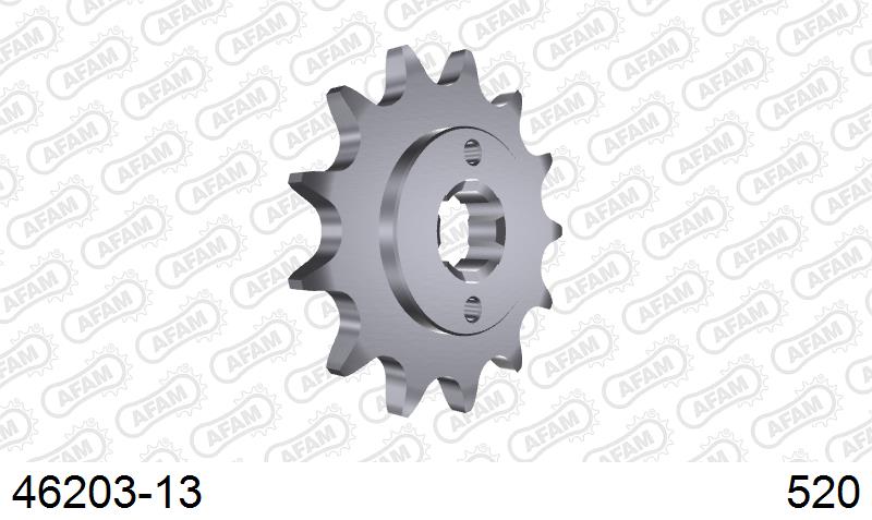 AFAM Eesmine hammasratas 46203-13, 13z, samm 520, teras